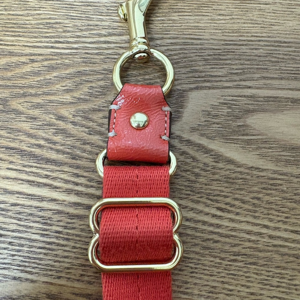 Coach | Signature Stripe Swingpack Mini Crossbody - Picture 5 of 12